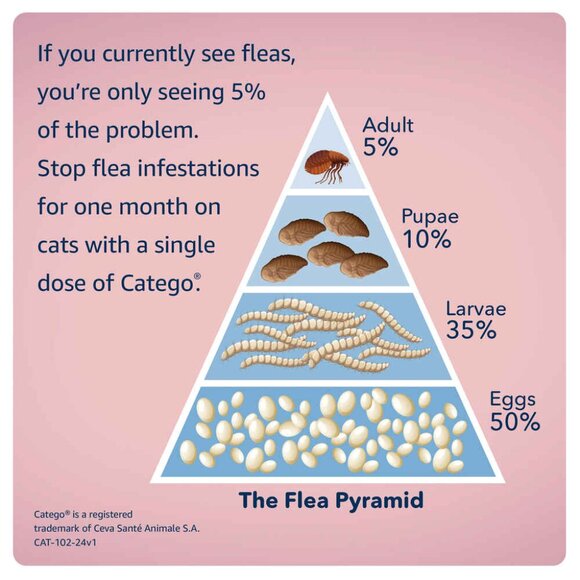 12 DOSES. .Catego Flea and Tick Control for Cats. Over 1.5 lbs, 8 Weeks or Older - Picture 5 of 6
